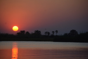 Galerie - Go Get it Safaris GmbH ist ein kleines Unternehmen mit grosser Safari-Erfahrung 143