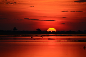 Galerie - Go Get it Safaris GmbH ist ein kleines Unternehmen mit grosser Safari-Erfahrung 148