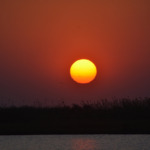 Galerie - Go Get it Safaris GmbH ist ein kleines Unternehmen mit grosser Safari-Erfahrung 150