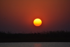 Galerie - Go Get it Safaris GmbH ist ein kleines Unternehmen mit grosser Safari-Erfahrung 150