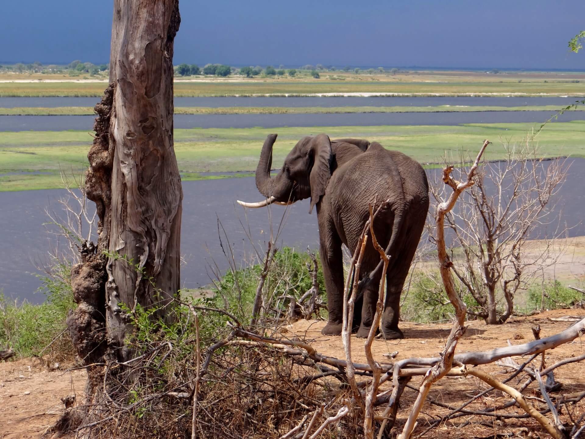 Galerie - Go Get it Safaris GmbH ist ein kleines Unternehmen mit grosser Safari-Erfahrung 152