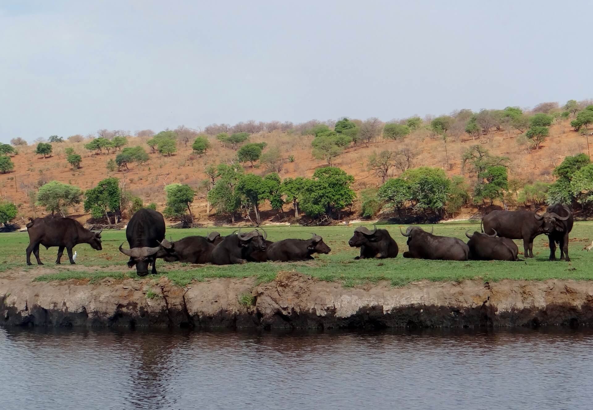 Galerie - Go Get it Safaris GmbH ist ein kleines Unternehmen mit grosser Safari-Erfahrung 153