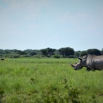 Galerie - Go Get it Safaris GmbH ist ein kleines Unternehmen mit grosser Safari-Erfahrung 159
