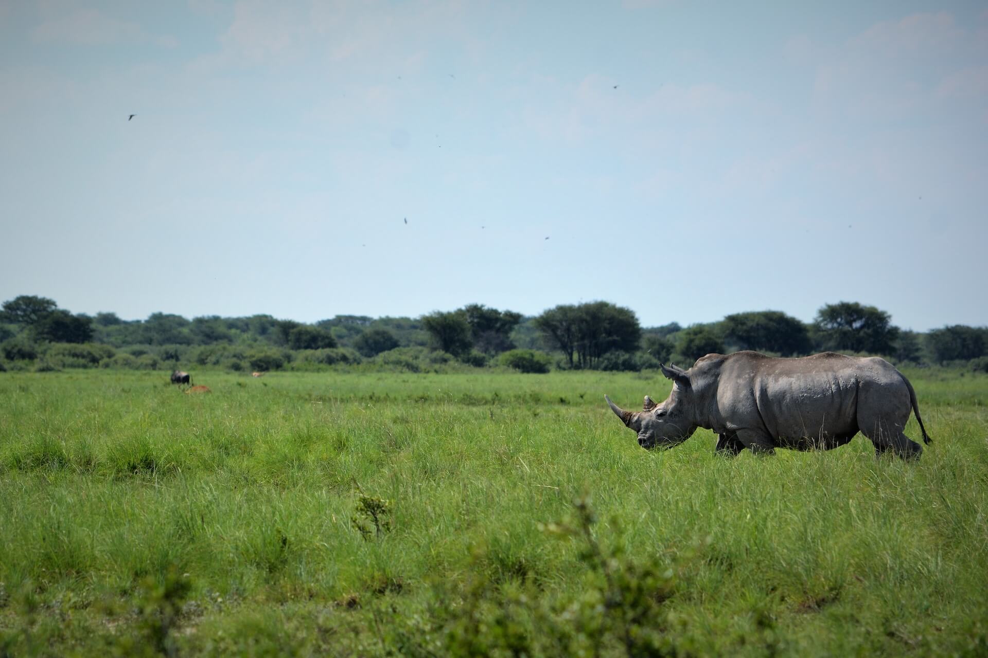 Galerie - Go Get it Safaris GmbH ist ein kleines Unternehmen mit grosser Safari-Erfahrung 159