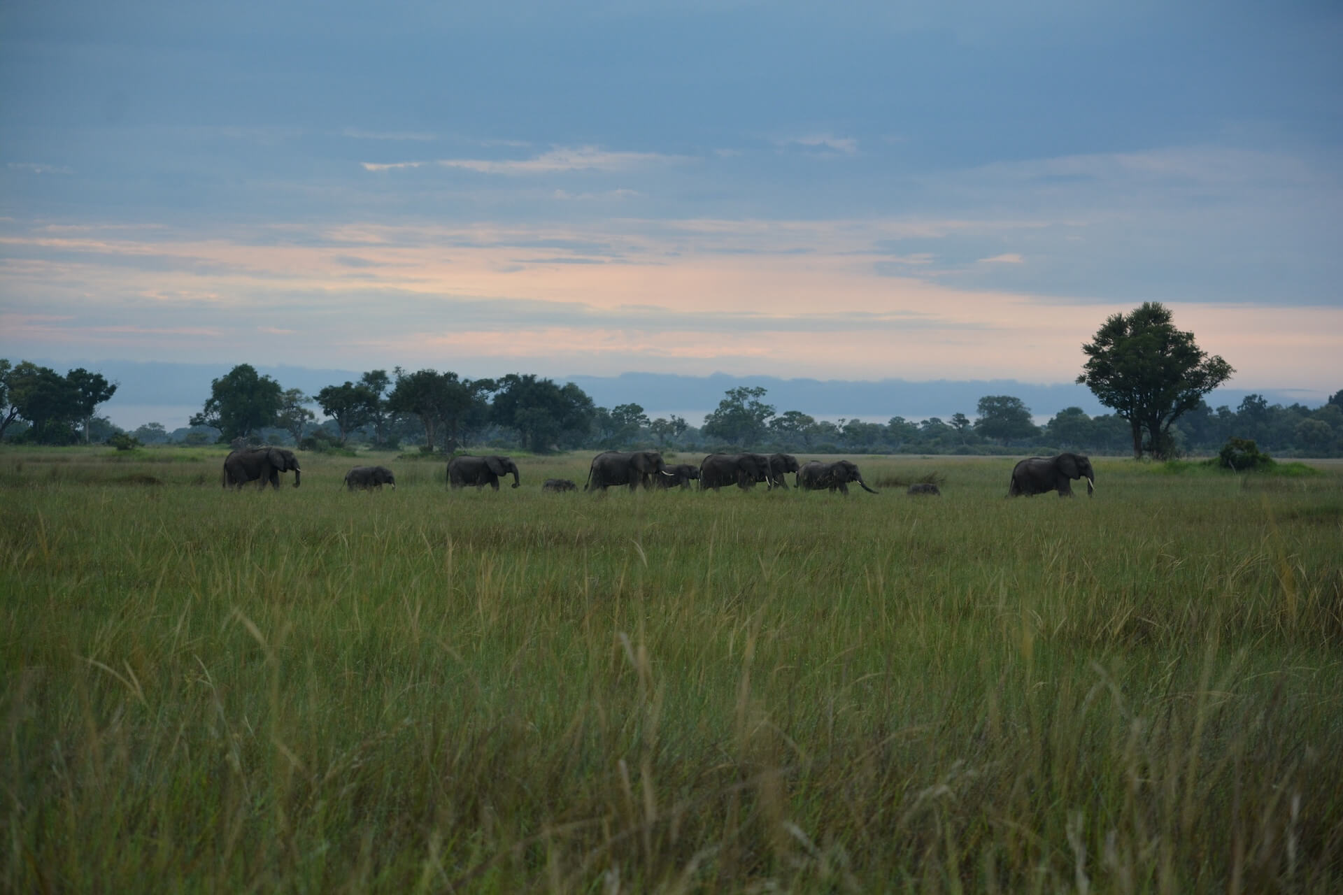 Galerie - Go Get it Safaris GmbH ist ein kleines Unternehmen mit grosser Safari-Erfahrung 175
