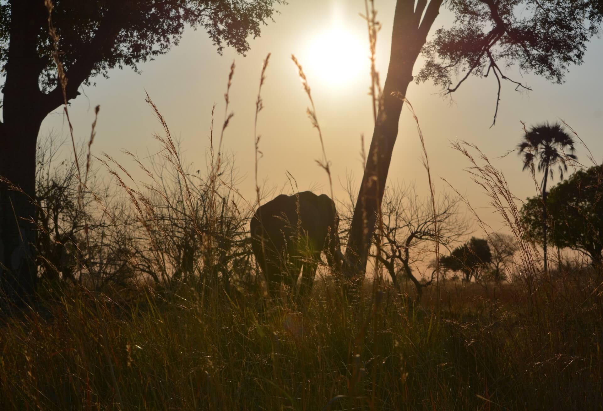 Galerie - Go Get it Safaris GmbH ist ein kleines Unternehmen mit grosser Safari-Erfahrung 179