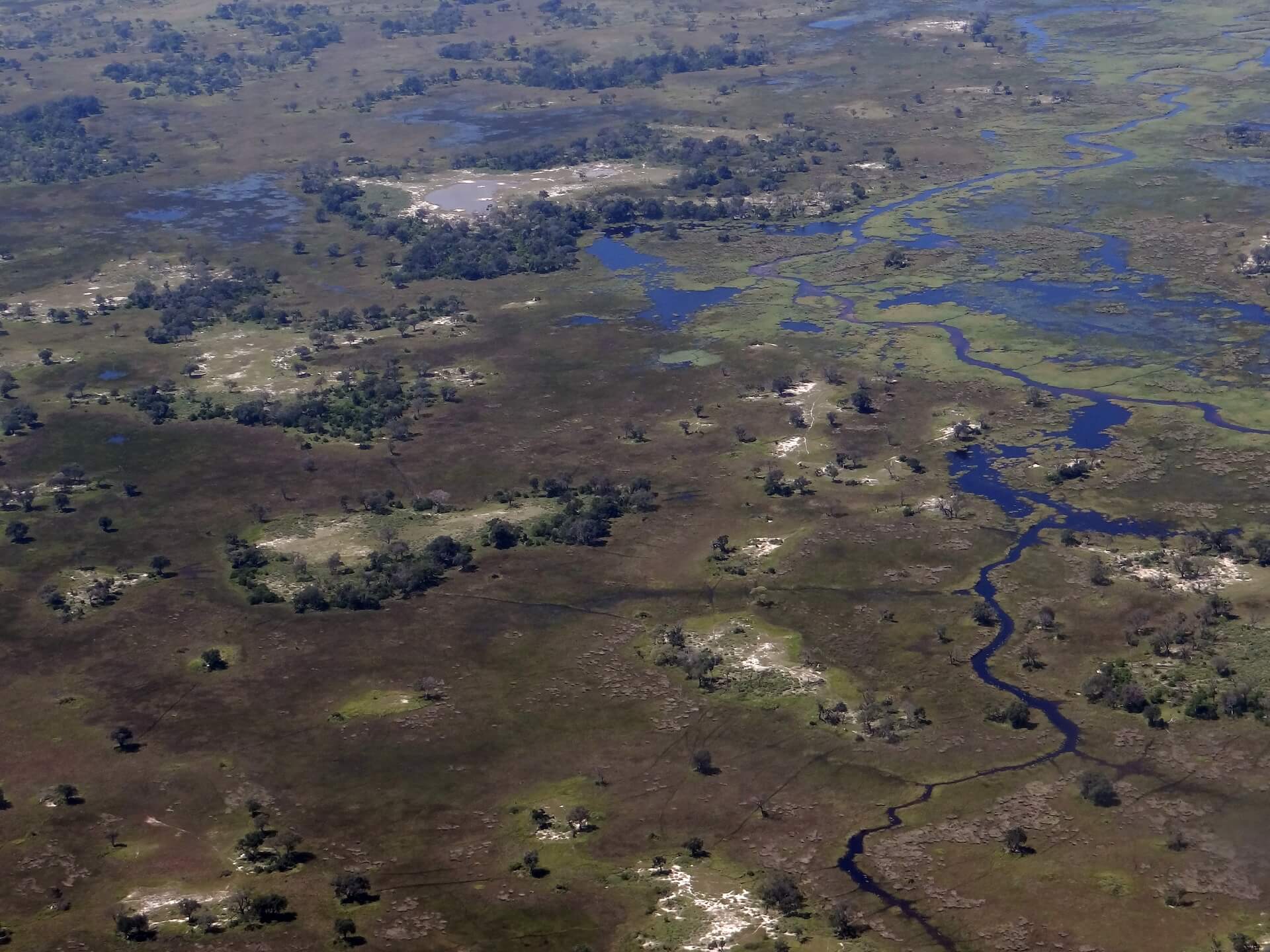 Galerie - Go Get it Safaris GmbH ist ein kleines Unternehmen mit grosser Safari-Erfahrung 196