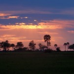 Galerie - Go Get it Safaris GmbH ist ein kleines Unternehmen mit grosser Safari-Erfahrung 198