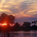 Galerie - Go Get it Safaris GmbH ist ein kleines Unternehmen mit grosser Safari-Erfahrung 199