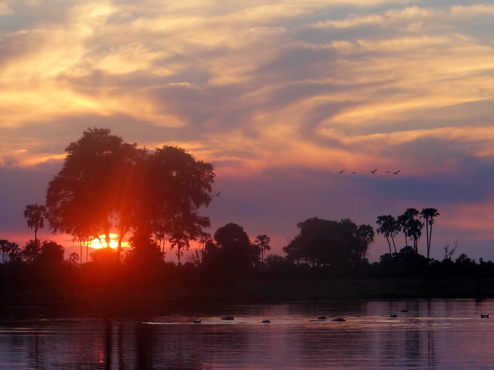 Galerie - Go Get it Safaris GmbH ist ein kleines Unternehmen mit grosser Safari-Erfahrung 199