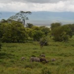 Galerie - Go Get it Safaris GmbH ist ein kleines Unternehmen mit grosser Safari-Erfahrung 210