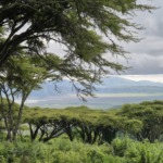 Galerie - Go Get it Safaris GmbH ist ein kleines Unternehmen mit grosser Safari-Erfahrung 212