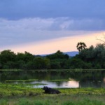 Galerie - Go Get it Safaris GmbH ist ein kleines Unternehmen mit grosser Safari-Erfahrung 214