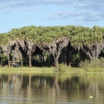 Galerie - Go Get it Safaris GmbH ist ein kleines Unternehmen mit grosser Safari-Erfahrung 216