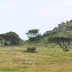 Galerie - Go Get it Safaris GmbH ist ein kleines Unternehmen mit grosser Safari-Erfahrung 219