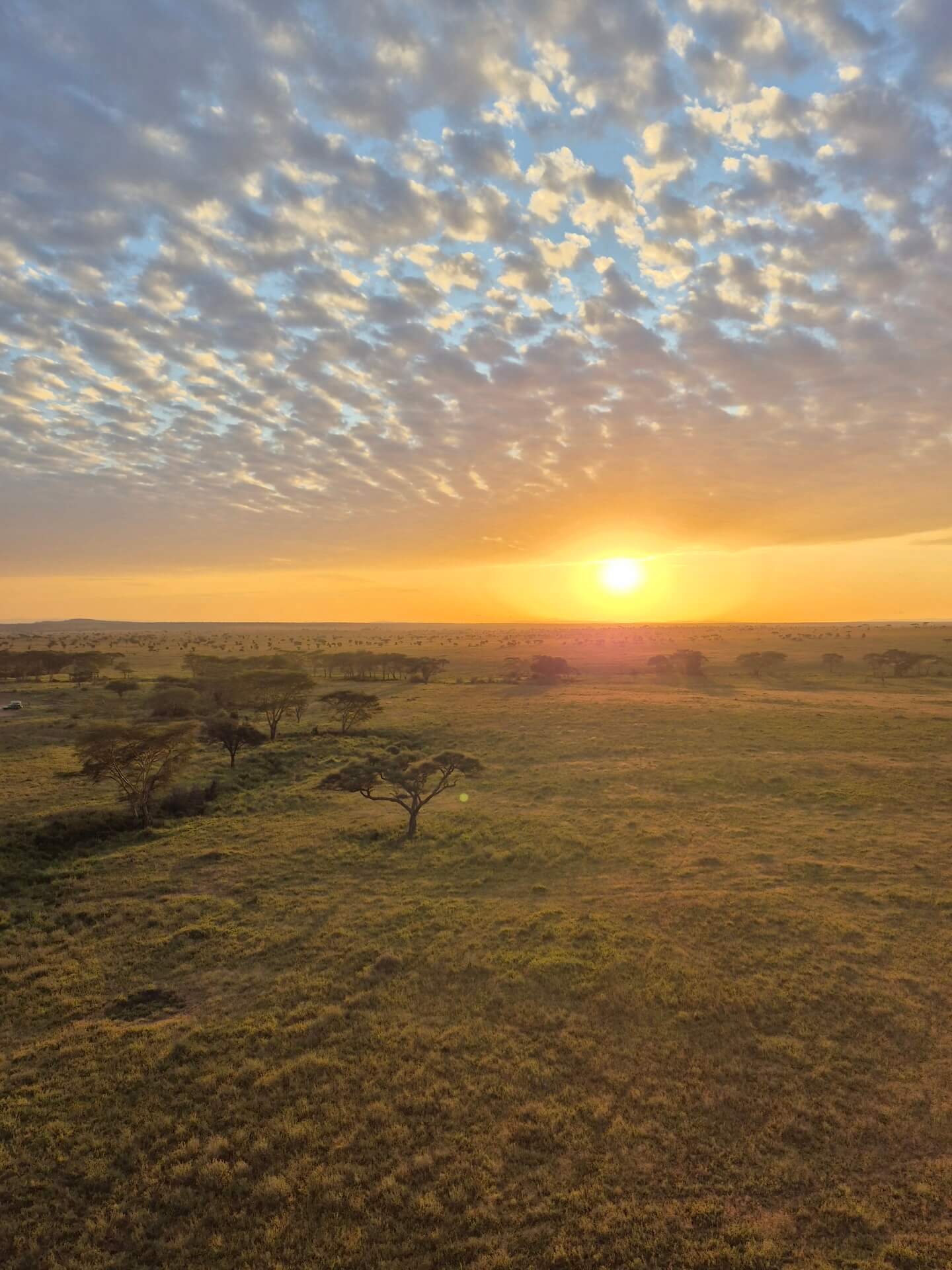 Galerie - Go Get it Safaris GmbH ist ein kleines Unternehmen mit grosser Safari-Erfahrung 221