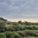 Galerie - Go Get it Safaris GmbH ist ein kleines Unternehmen mit grosser Safari-Erfahrung 222