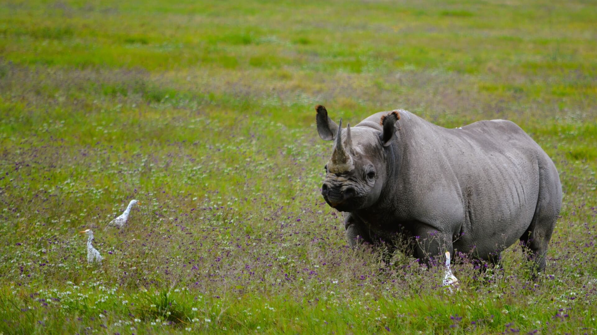 Galerie - Go Get it Safaris GmbH ist ein kleines Unternehmen mit grosser Safari-Erfahrung 227