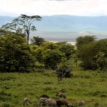 Galerie - Go Get it Safaris GmbH ist ein kleines Unternehmen mit grosser Safari-Erfahrung 228