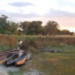 Galerie - Go Get it Safaris GmbH ist ein kleines Unternehmen mit grosser Safari-Erfahrung 234
